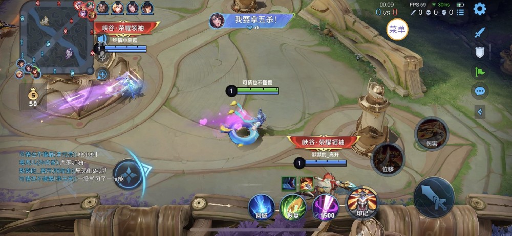 王者荣耀《赫兹内部》辅助