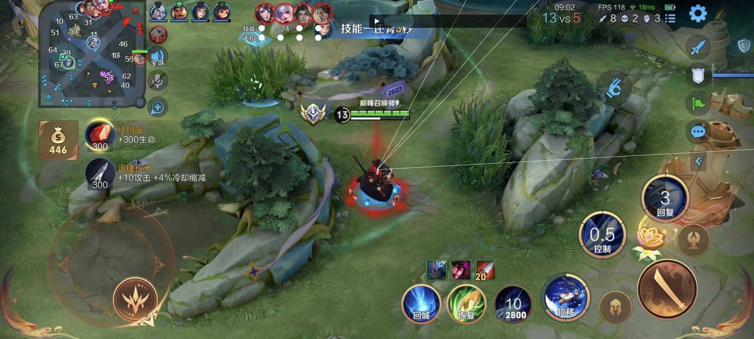 王者荣耀《九天玄鸟》外挂