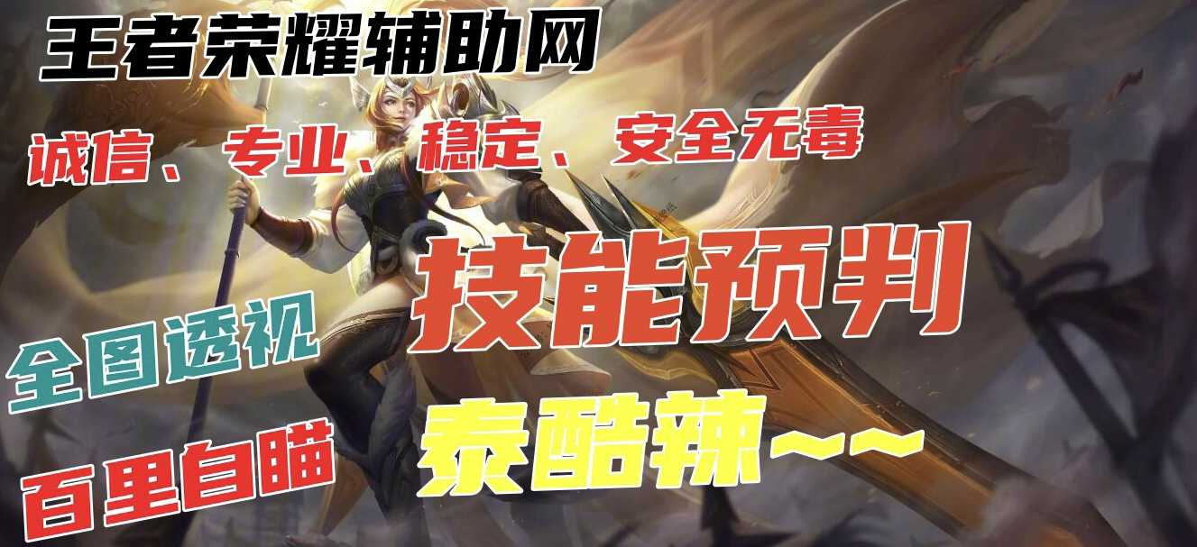 【王者荣耀辅助】星辰（内部定制）