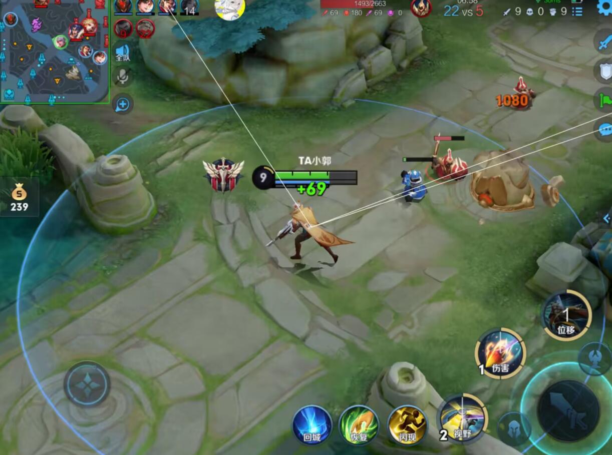 王者荣耀暗杀星辅助科技