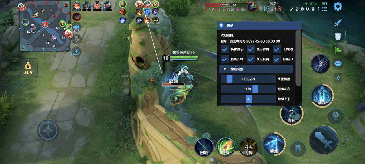 王者荣耀《赫兹内部》辅助